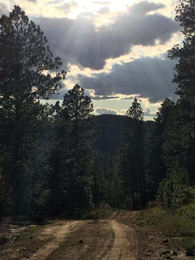 Priceless Black Hills View Hébergement de vacances